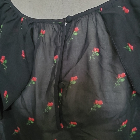 Wildfox Sheer Floral Ruffle Blouse - Picture 4 of 9